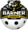berner chnebeler