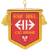 eisenbahner sportclub biel