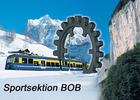 sportsektion bob